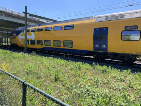 Niederländischer Intercity westlich von Venlo