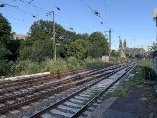 Blick auf den Kölner Dom mit der Rheinbrücke im Vordergrund an einem frühen Morgen im Sommer 2025.