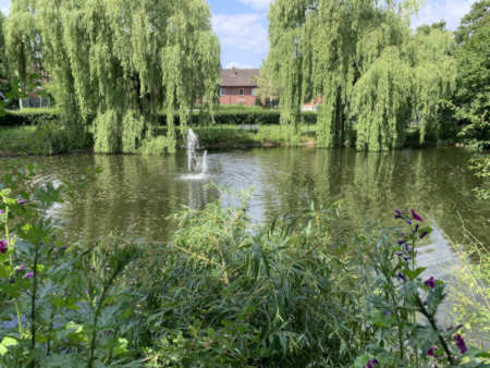 Park an der Tegeler Straße mit Wasserfontäne