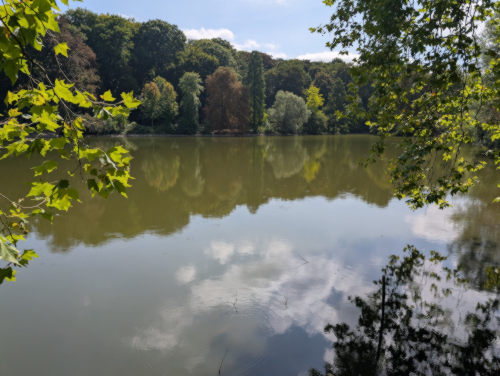 Dortmund Großer Teich im Rombergpark