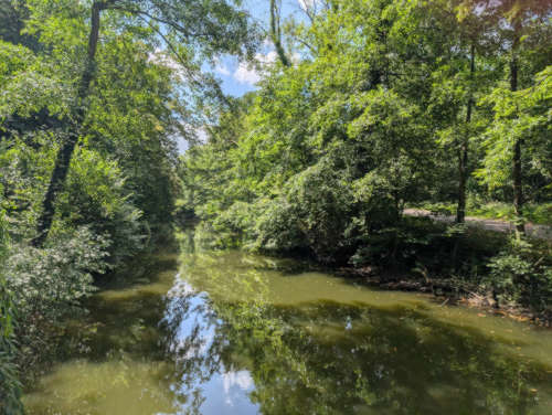 Münster Schlossgarten mit einer Teichanlage