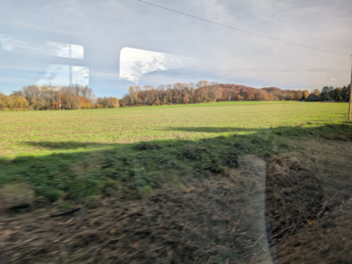 Aus dem Fenster der RB75 von Osnabrück nach Bielefeld HBF Feld mit Bäumen und viel Sonne