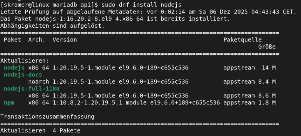 Terminal with the installation of Node.js version 20.