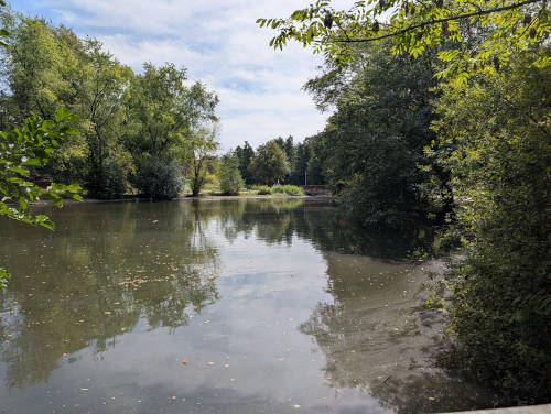 Bielefeld Braderbachteich in Stieghorst