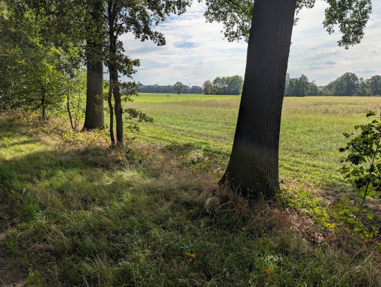 Aalten Landwirtschaft Wiesen Acker im Herbst 2026