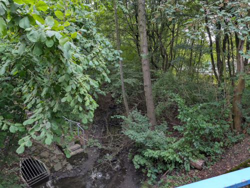 Blick von der Bleckstraße auf den Dorneburger Bach in Bochum Hofstede mit den Koordinaten 51.513843706669995, 7.198366711313511